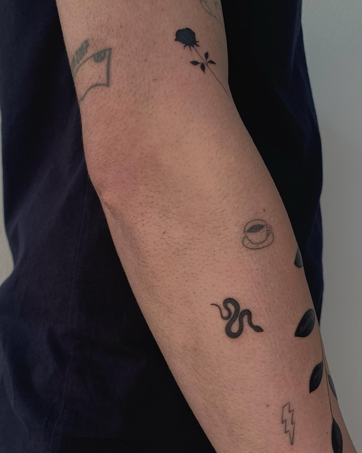 Tatuagem Minimalista de cobra no braço