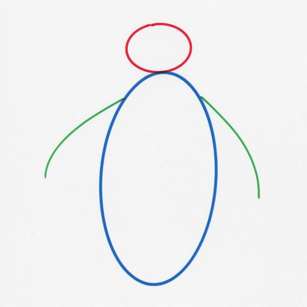 Como Desenhar um Pinguim Realista – Passo a Passo – Passo 1