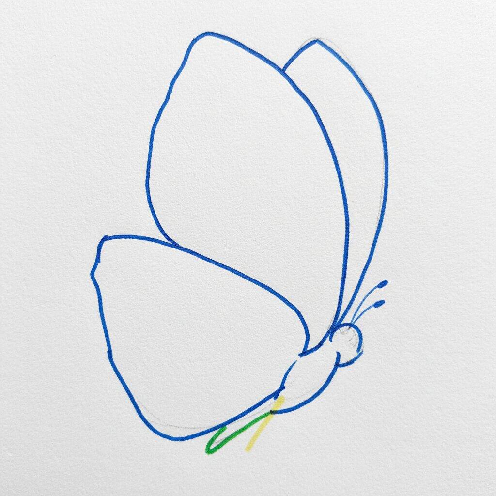 Como Desenhar uma Borboleta Realista – Passo a Passo – Passo 1