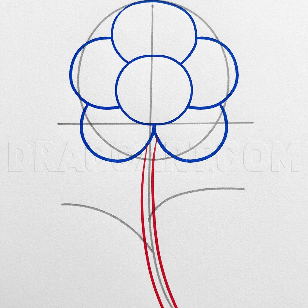 How to Draw a Simple Flower Easy Step by Step – Step 4