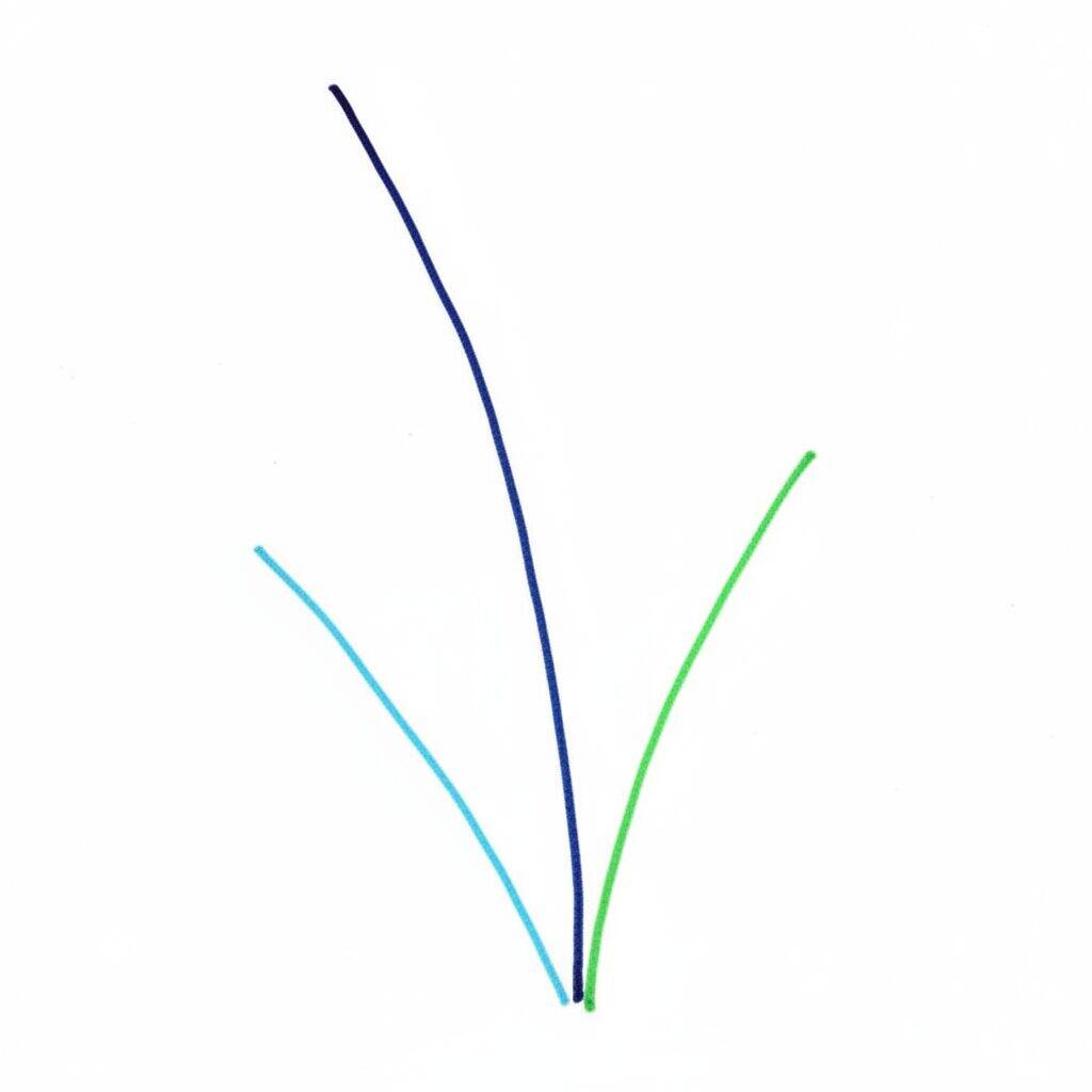 Como Desenhar uma Tulipa Realista – Passo a Passo – Passo 1