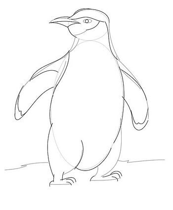 Como Desenhar um Pinguim Realista – Passo a Passo – Passo 4